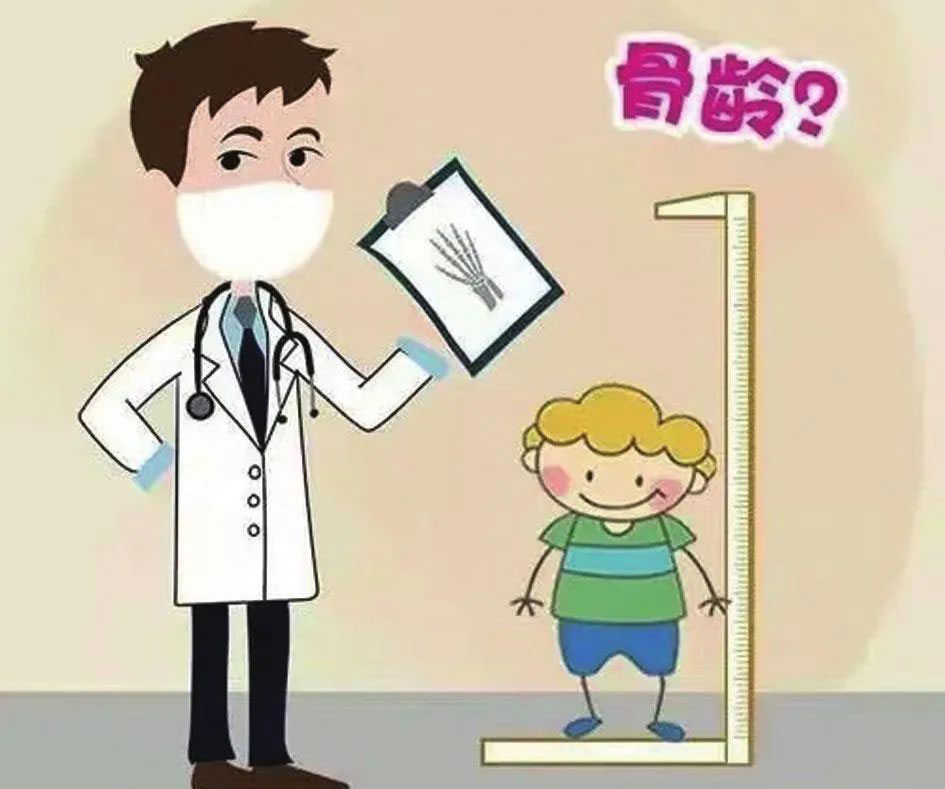 基于深度学习的MRI骨龄评估研究进展